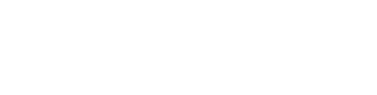 Mr Web